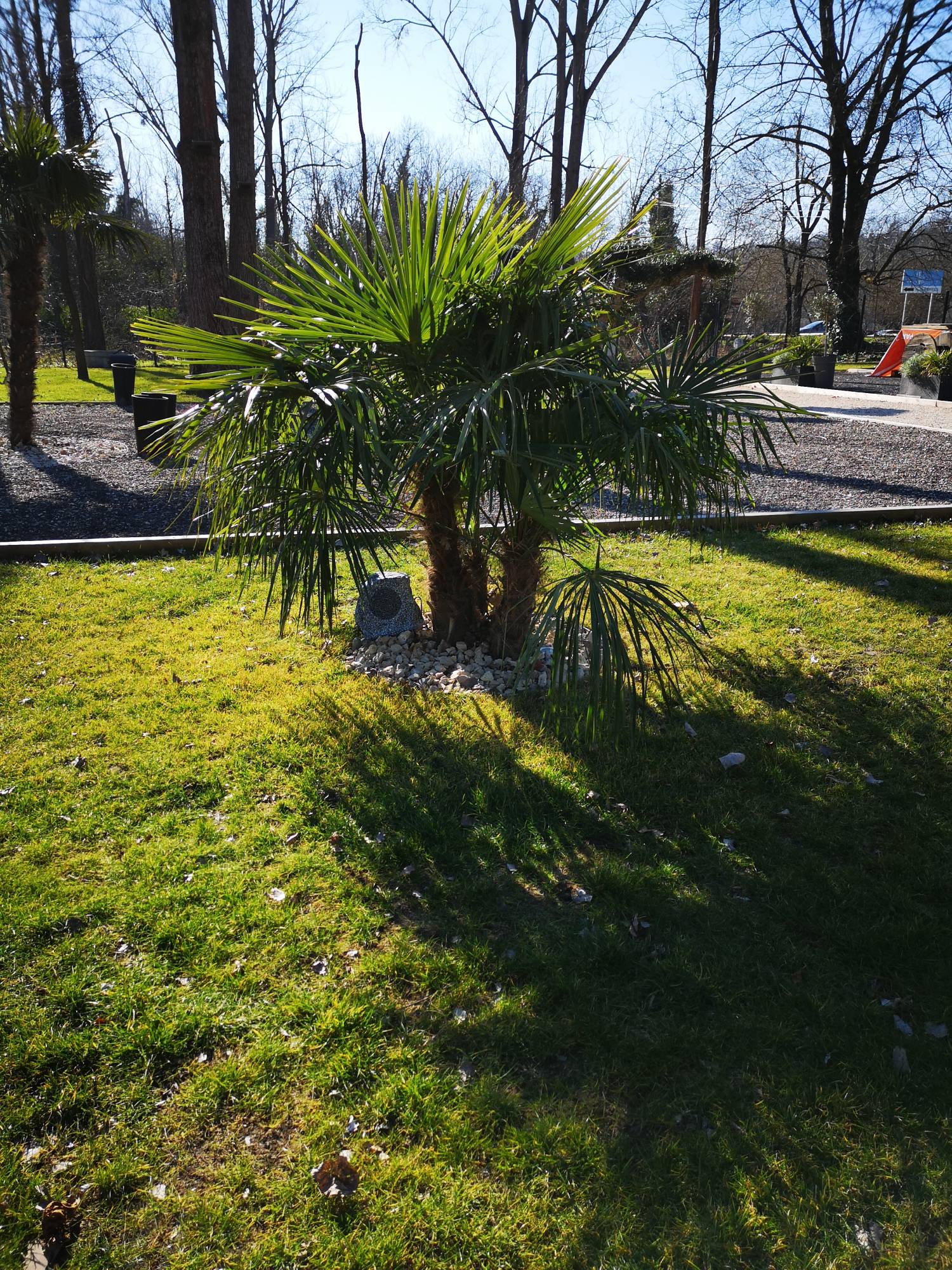 Sonorisation mise en place sur toute la terrasse et le parc restaurant solaize
