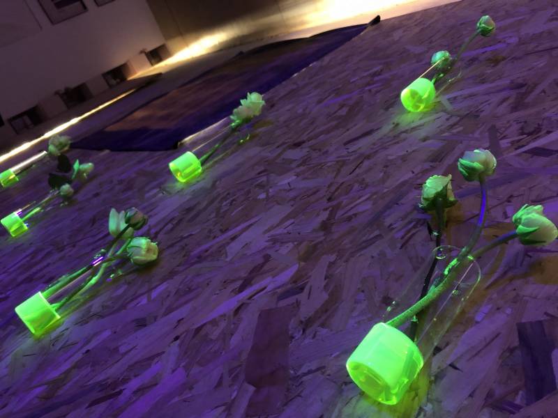 Eclairage de décoration avec projecteur lumière noire saint genis laval