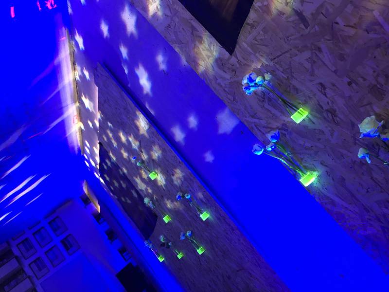 Prestation avec lumière noire pour événementiel à Lyon