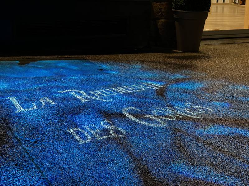 Projection lumineuse du nom de mon commerce à Lyon