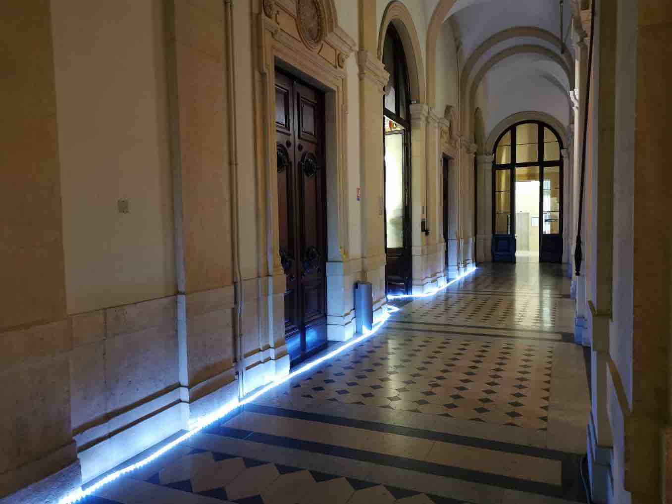 Location de fil lumineux à Led Lyon 2