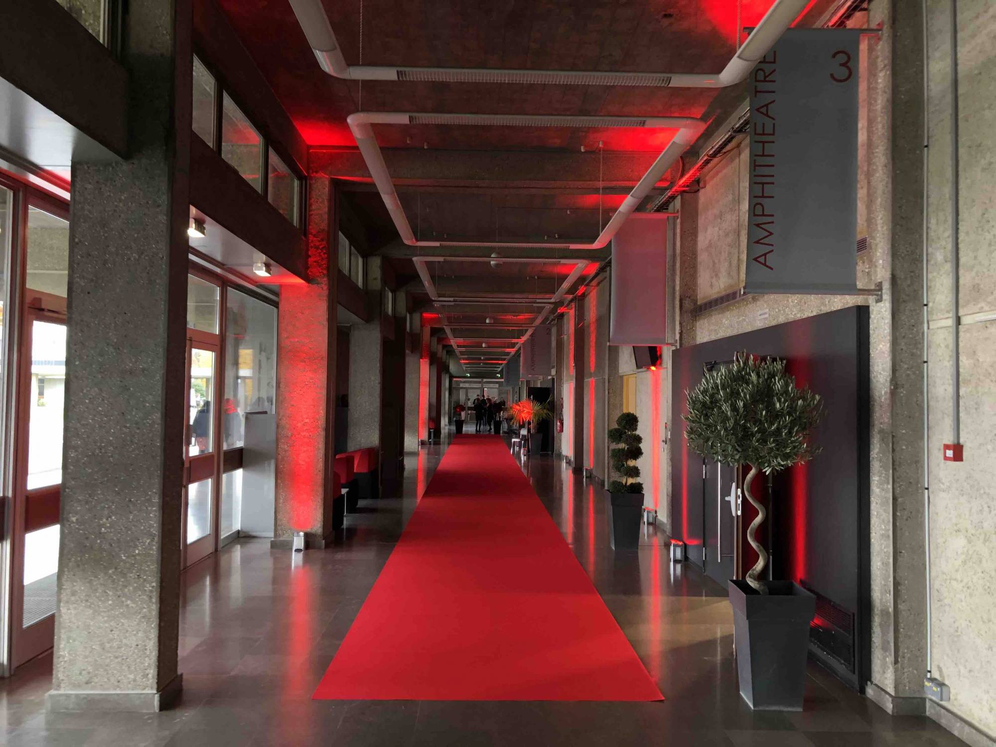 Location Lightkolor sur batterie à Lyon