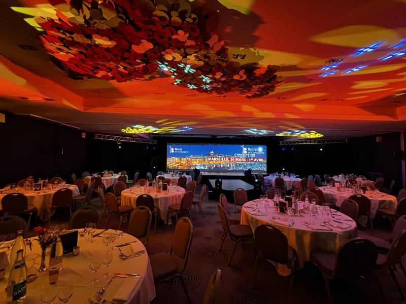 Location écran de projection panoramique XXL Cyclorama toile rétro à Lyon