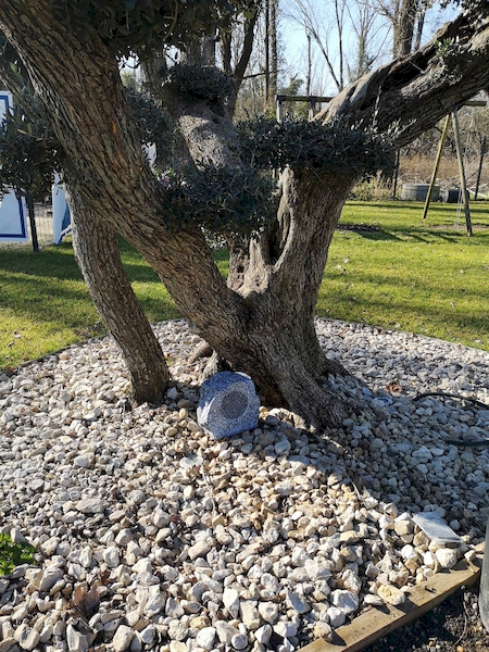 Nos prestations sur le secteur de à Lyon (69), Rhône